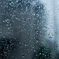 in the rain