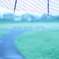 傘と雨と・・・
