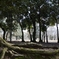 奈良公園