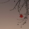 RED　STAR