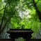 竹の寺にて