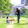 それぞれの散歩。。。