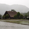 雨の白川郷