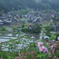 白川郷展望台２