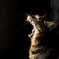 _DSC0243 (2)