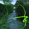 GReeeeNの軌跡8