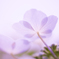 june..♪