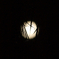 Look Down at the Moon