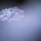 梅雨の晴れ間