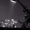 Night fly