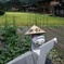 DSCN0317