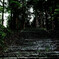 静寂～寺へと続く階段～