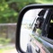 Buddy in mirror