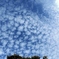 うろこ雲 (2)