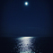 月夜の光