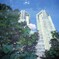 新宿中央公園　都庁　多重露光