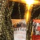 表参道Fairiesイルミネーション2011