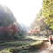 町田の公園