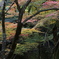 香嵐渓の秋
