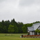 DSC_0020