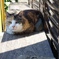 猫の特等席 #05