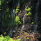白糸の滝１