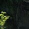 白糸の滝２