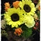 向日葵