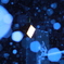 雪の光