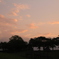 夕焼け,雲,そして竜？