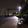 夜のお散歩(2)
