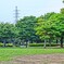 DSC00495
