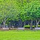 DSC00500