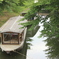 宇治川の屋形船