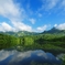 初夏の鏡池