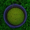 Green in the green