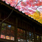 本土寺の回廊