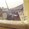 Hello！water！