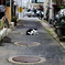 見つめ合う