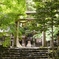 京都 美山 新緑