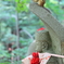 小さな祈り