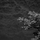 _TER8249