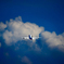 Lufthansa