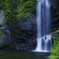 箕面の滝（近影）