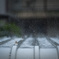 雨