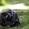 Eos-1N.