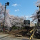 さくら列車