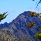 花咲く登山道