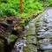 大山表参道