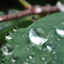 P7050340